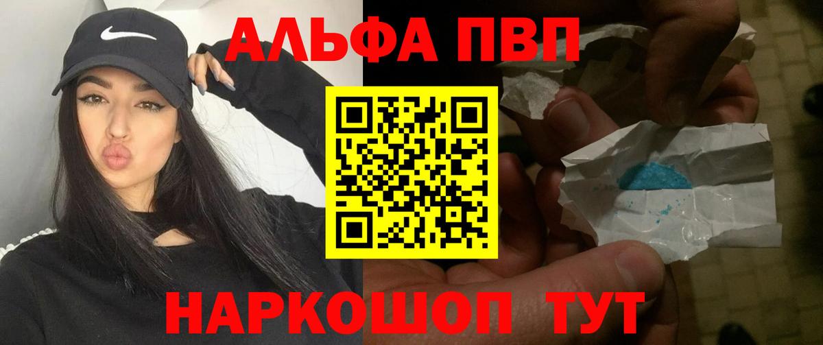 Альфа ПВП СК КРИС Карачаевск