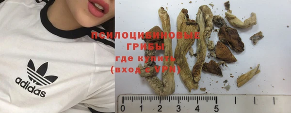2c-b Медвежьегорск