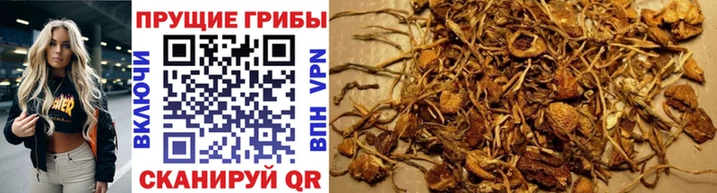 Галлюциногенные грибы мухоморы  Карачаевск 
