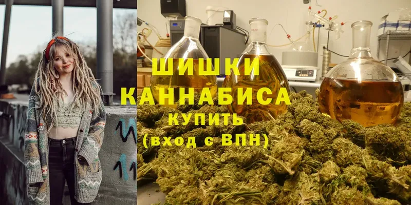 купить наркотики сайты  Карачаевск  omg зеркало  Конопля VHQ 